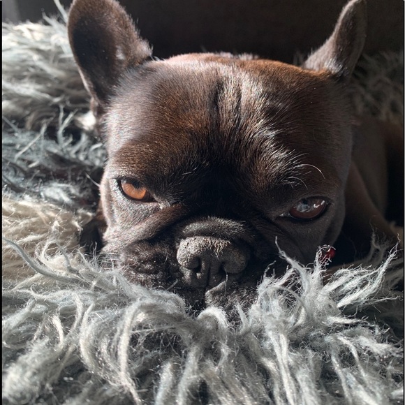 ❤️Welcome! I’m Matilda!!❤️ - Picture 2 of 12